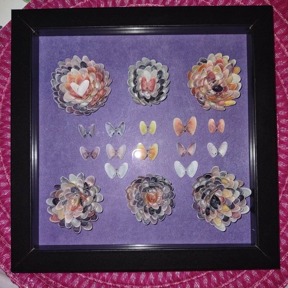 8" x 8" Coquina Shell flower butterfly craft picture - Picture 2 of 2